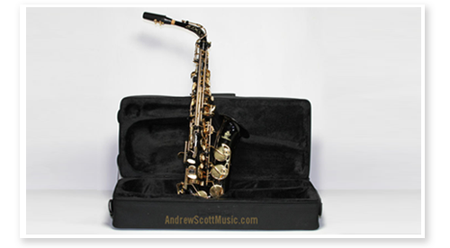 Alto Saxophone in Case