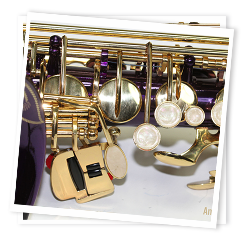 Cheap Purple and Gold Alto Saxophone