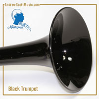 Black & Silver Trumpet
